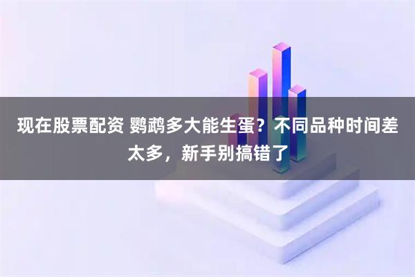现在股票配资 鹦鹉多大能生蛋？不同品种时间差太多，新手别搞错了