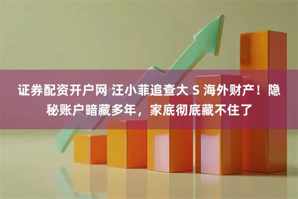 证券配资开户网 汪小菲追查大 S 海外财产！隐秘账户暗藏多年，家底彻底藏不住了